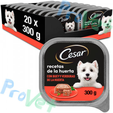 CESAR BUEY 20x300gr