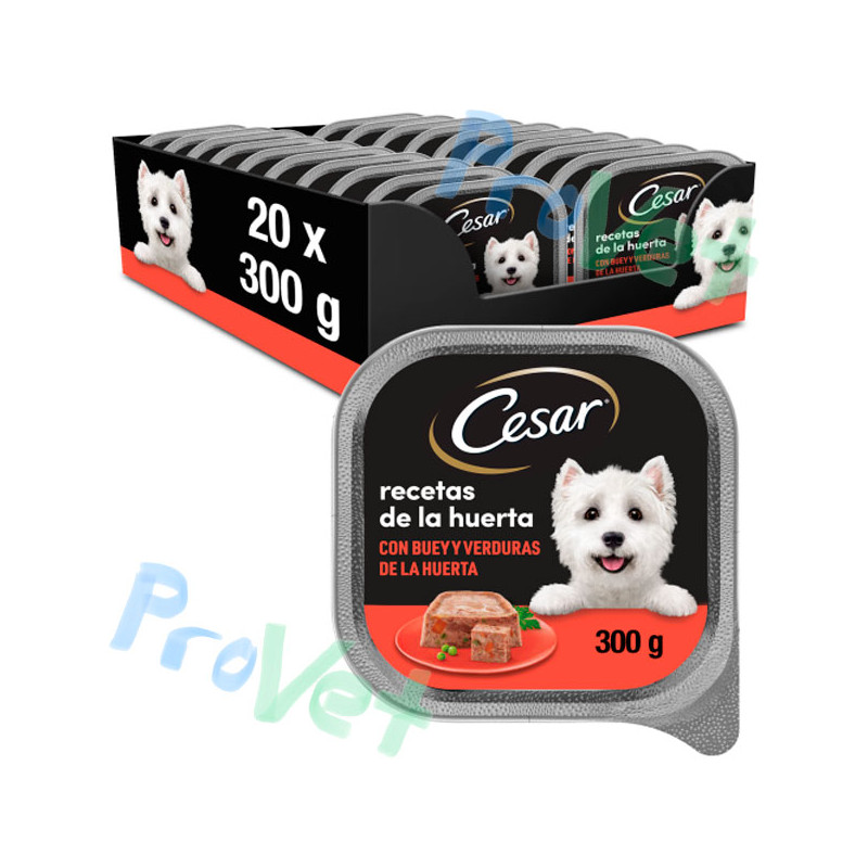 CESAR BUEY 20x300gr