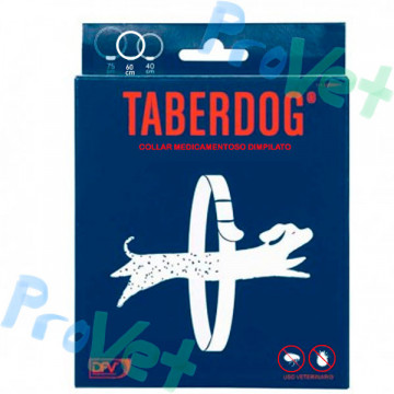 TABERDOG COLLAR DFV DIMPILADO 60cm