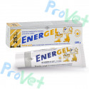 ENERGEL. Multivitamínico en pasta 100GR