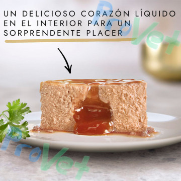 GOURMET GOLD Fonding Tuna 24x85grã