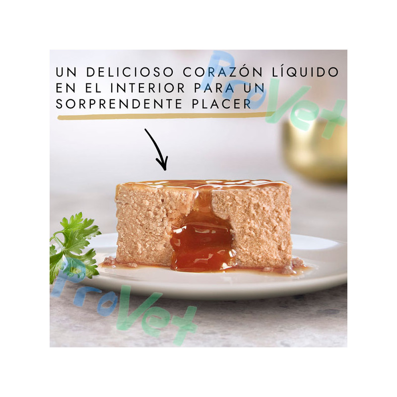 GOURMET GOLD Fonding Tuna 24x85grã