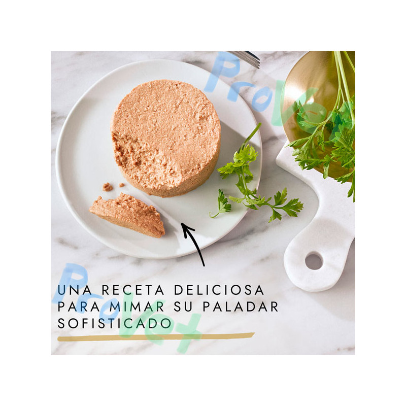 GOURMET GOLD Mousse Pato y Espinacas 24x85g