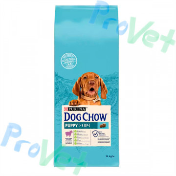 CÃO CHOW FILHOTE Cordeiro 14kg