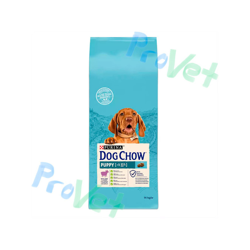 CÃO CHOW FILHOTE Cordeiro 14kg