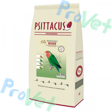 PSITTACUS PESO MENOR 15KG