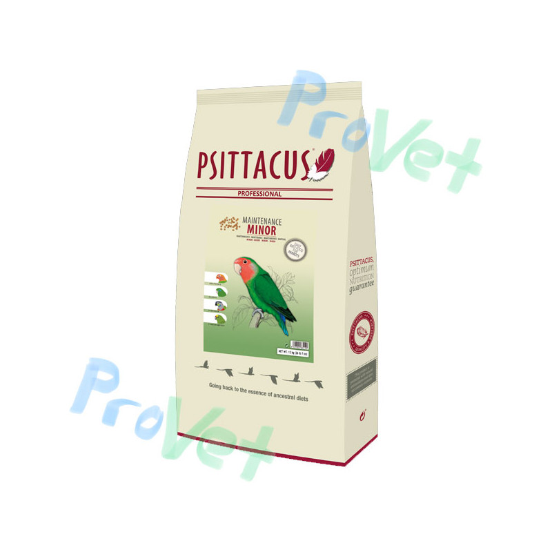 PSITTACUS PESO MENOR 15KG