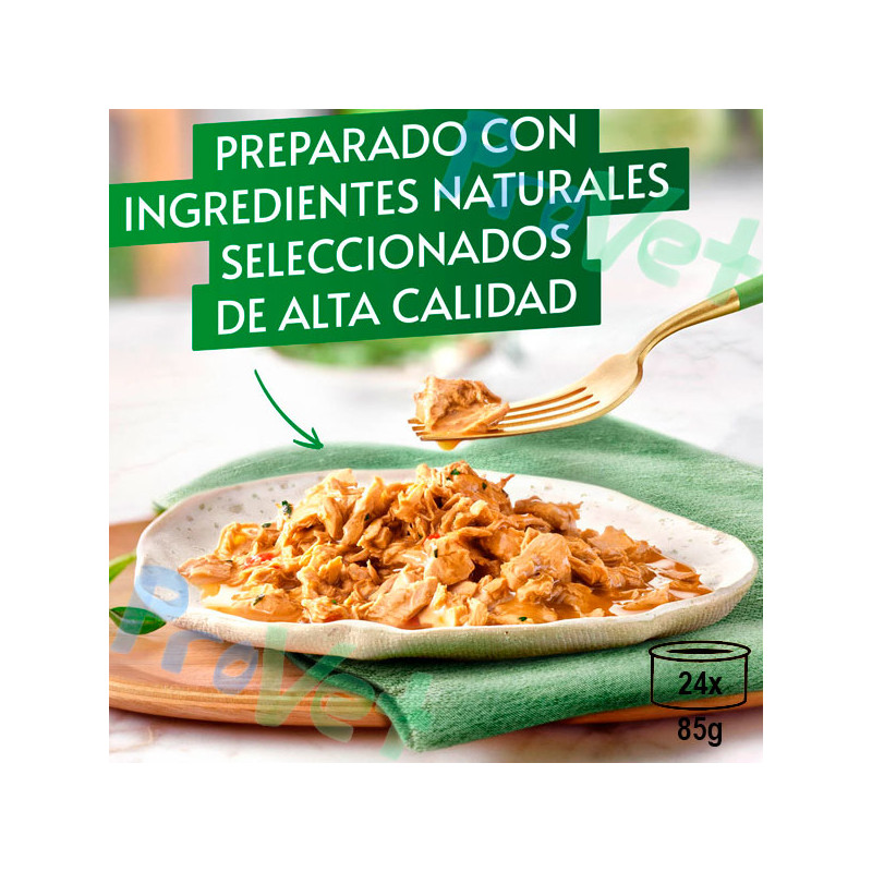 GOURMET NATURALS Filetes rico en buey 24x85g