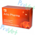 ARTRO PHARMA 300 COMP