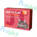 LACTO CAT 4x50 GR