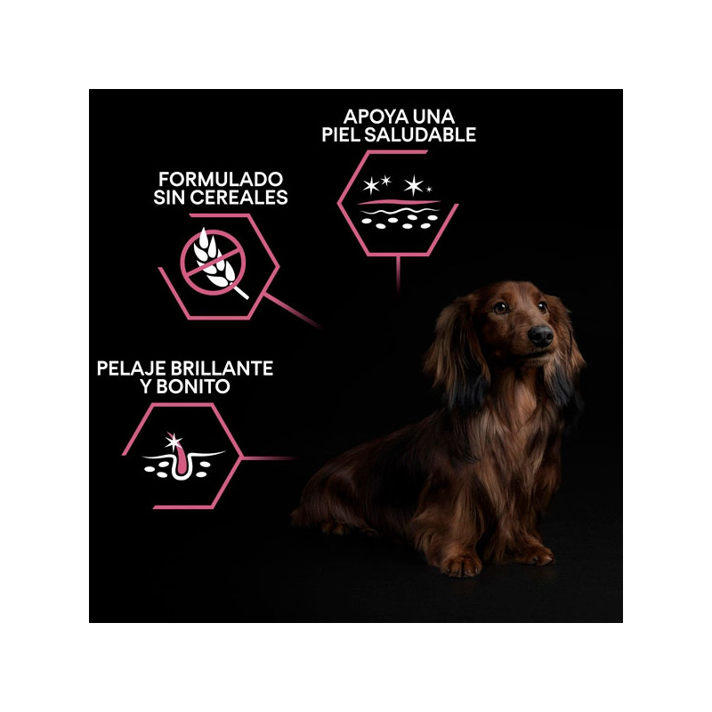 PROPLAN Small Adult Derma 3kg