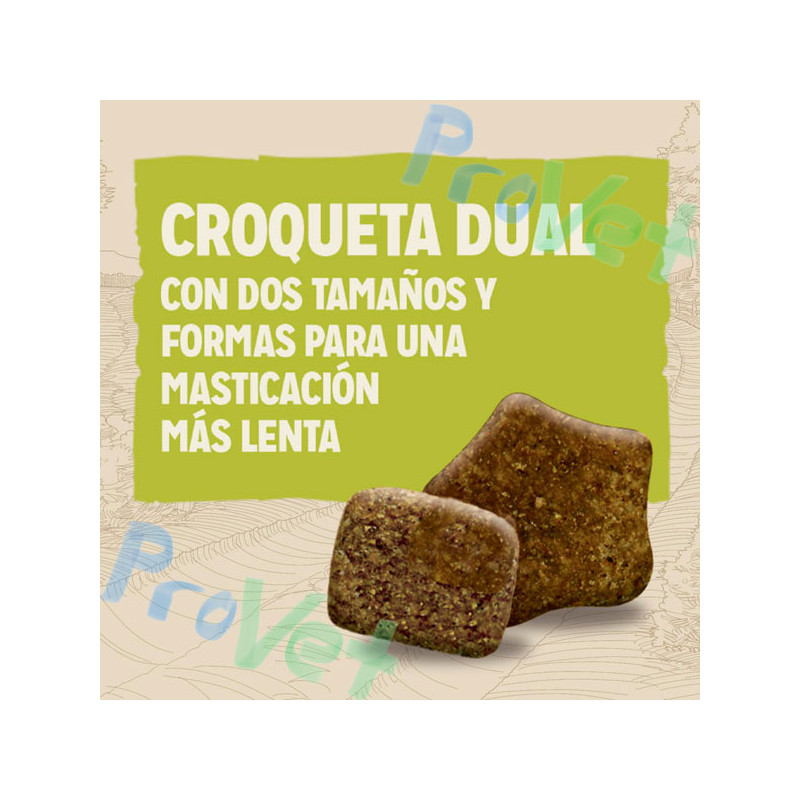 CÃO CHOW ADULTO Cordeiro 2,5kg