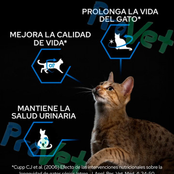 PROPLAN Gato STERILISED 7+ Pavo 3kg