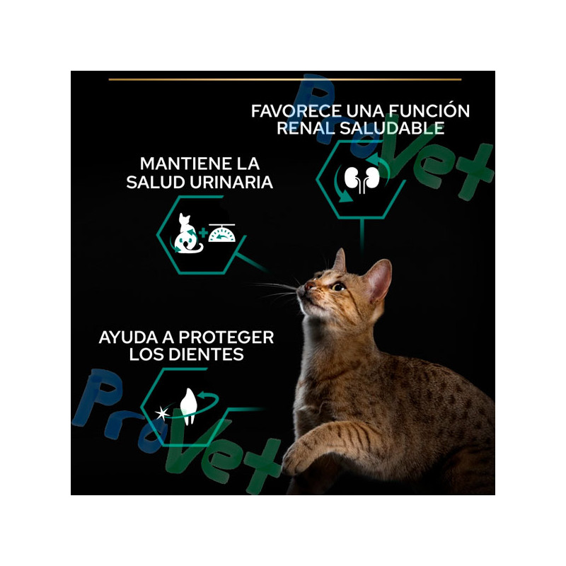 PRO PLAN Cat ESTERILIZADO Salmão 1,5kg