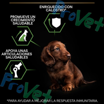 PRO PLAN Cachorro Pequeno Derma 3kg