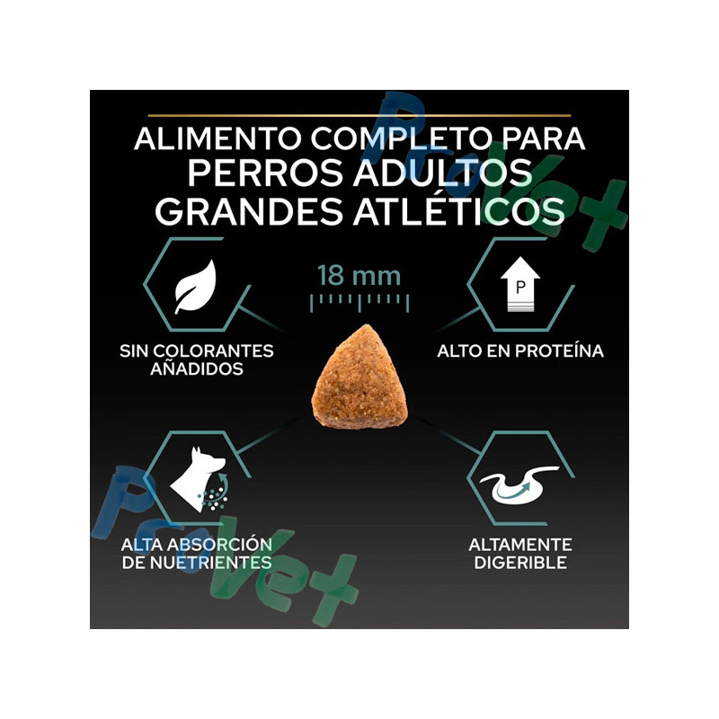 PRO PLAN Adulto Grande Athletic Digest Cordeiro 14kg