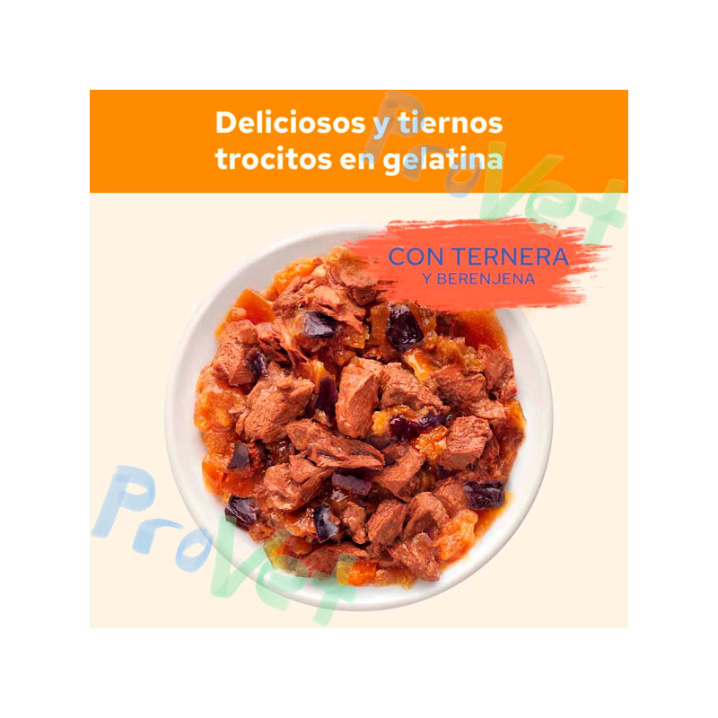 COMIDA MOLHADA PARA GATOS ADULTO Carne 26x85g