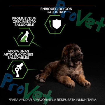 PRO PLAN Cachorro Grande Equilíbrio Robusto 12kg