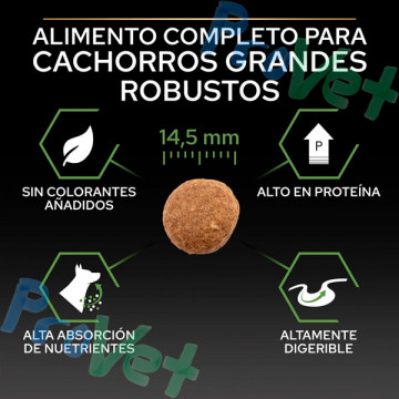 PRO PLAN Cachorro Grande Equilíbrio Robusto 12kg