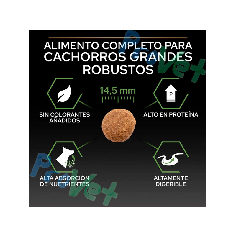 PRO PLAN Cachorro Grande Equilíbrio Robusto 12kg