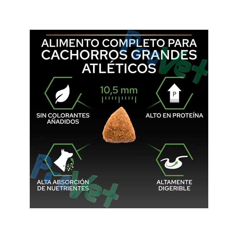 PRO PLAN Cachorro Grande Balança Atlética 12kg