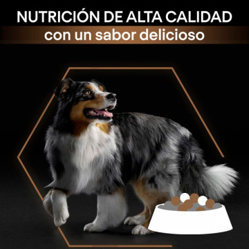 PROPLAN DuoDelice Medium Pollo 10k