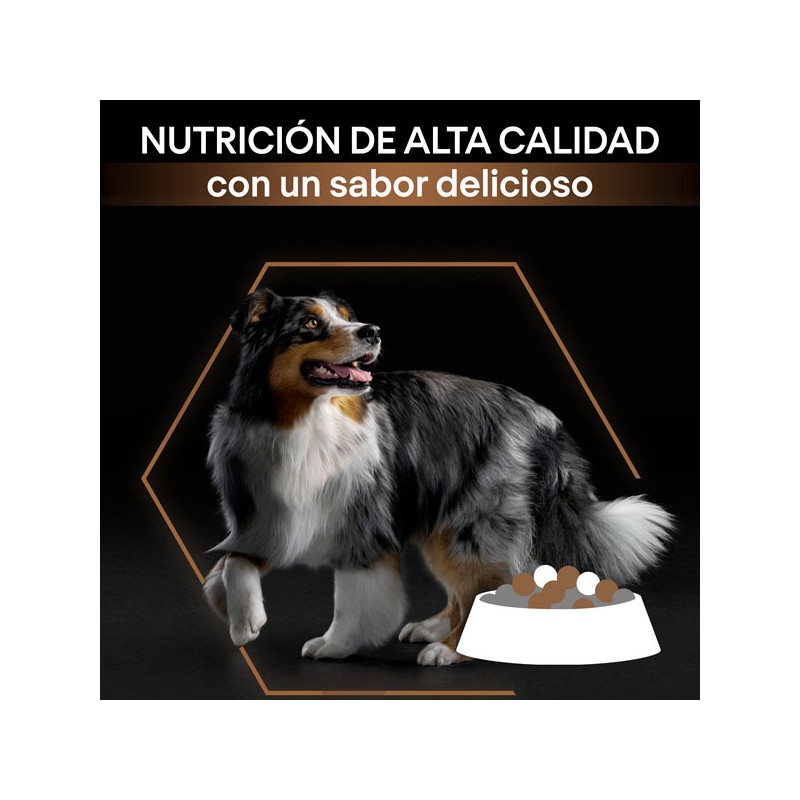 PROPLAN DuoDelice Medium Pollo 10k