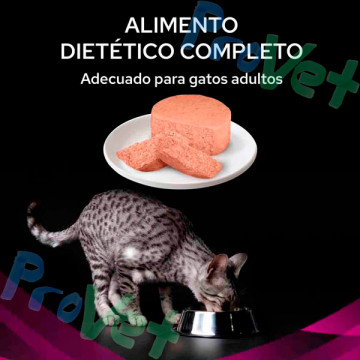 WET PPVD CAT UR (urinário) Mousse de Peru 24x195g