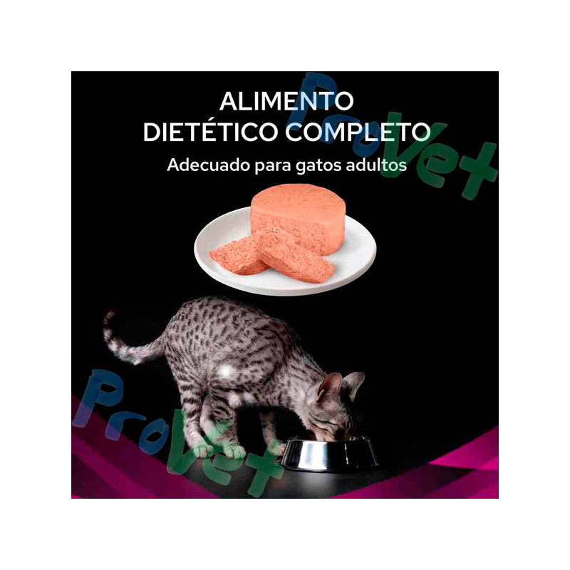 WET PPVD GATO UR (urinary) Mousse 24x195g