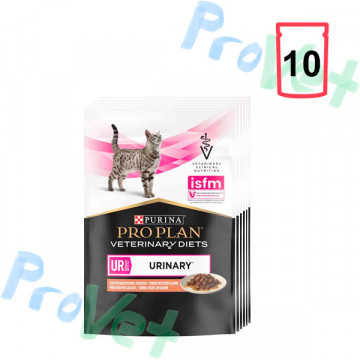 WET PPVD GATO UR (urinary) Pouch Salmon (10x85g)