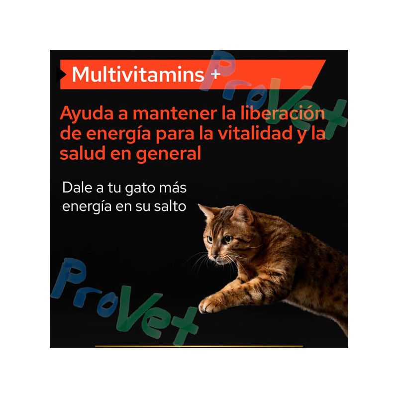 PROPLAN Suplemento Gato Multivitamins 60g