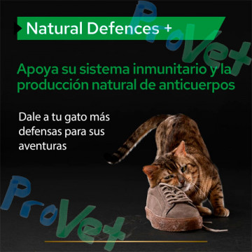 Suplemento ProPlan Natural Defenses Cat 60g