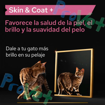 Suplemento ProPlan Pele e Pelagem de Gato 150ml