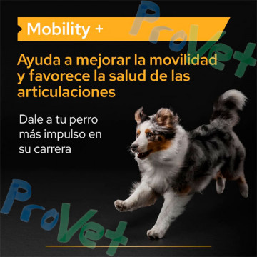 ProPlan Mobility Dog Suplemento 60g