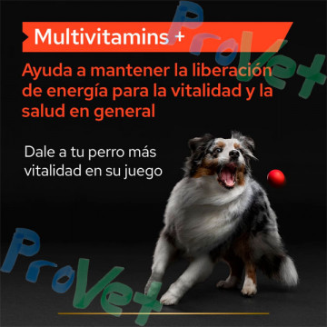 ProPlan Dog Supplement Multivitaminas 67g