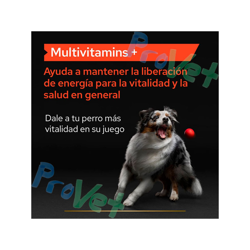 PROPLAN Suplemento Perro Multivitamins 67g