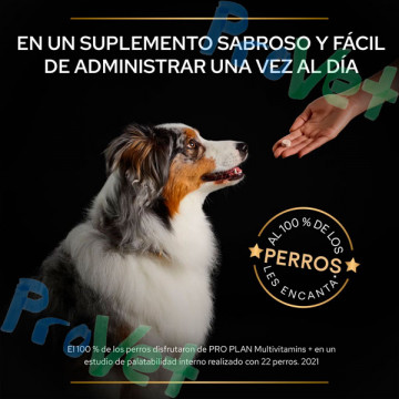 PROPLAN Suplemento Perro Multivitamins 67g