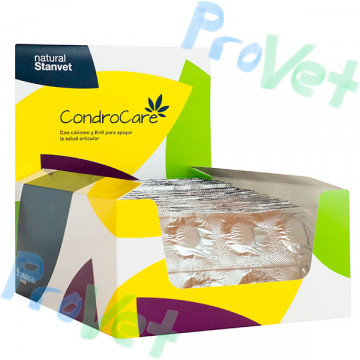 Blister CONDROCARE 240 comprimidos