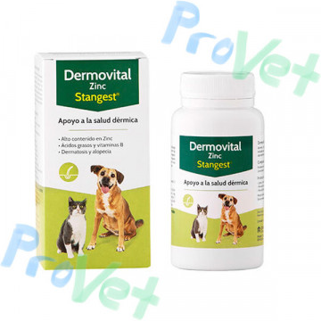 DERMOVITAL ZINCO 60 comprimidos