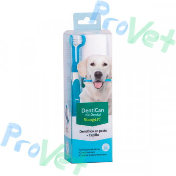 KIT DENTICAN (PASTA DENTAL + CEPILLO)