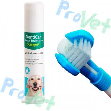 KIT DENTICAN (PASTA DENTAL + CEPILLO)