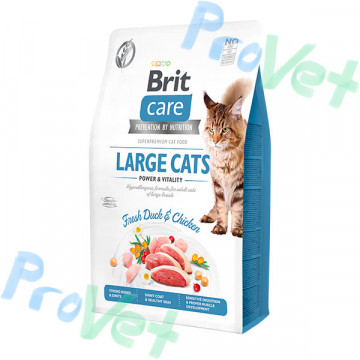 CARE Cat GF Large Power Vitality 2kg