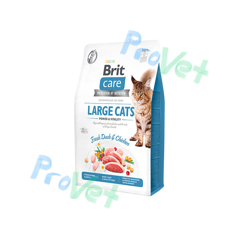 CARE Cat GF Large Power Vitality 2kg