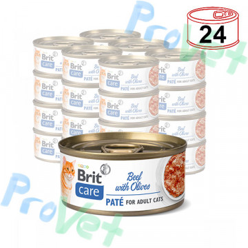 Wet CARE Vitela de Gato com Azeitonas 24x70gr