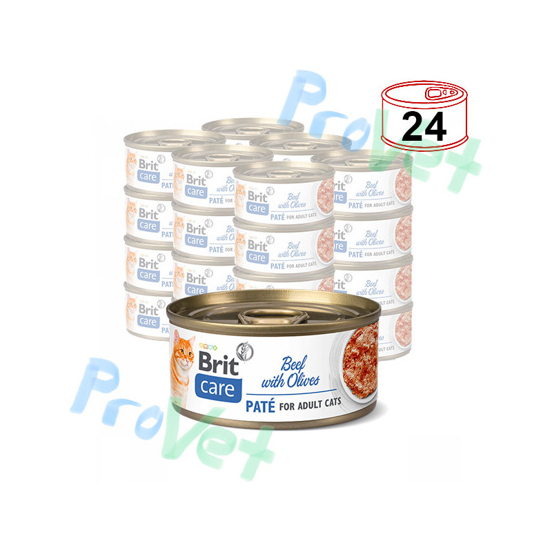 Wet CARE Vitela de Gato com Azeitonas 24x70gr