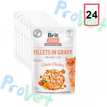 Filetes de frango Wet CARE Cat em molho (24x85gr)