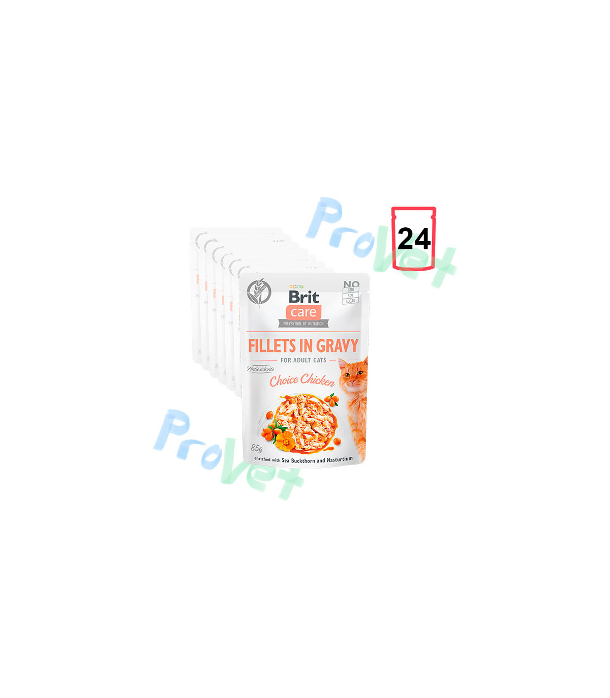 Wet CARE Cat Filetes de pollo en salsa (24x85gr)