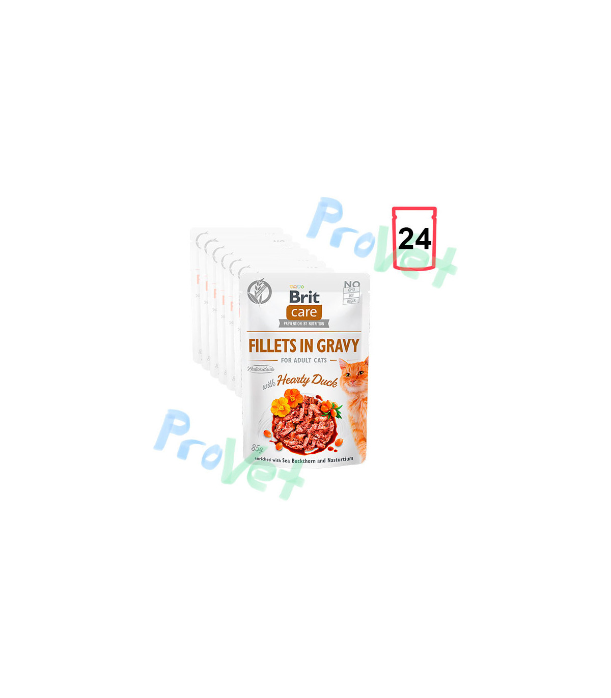 Wet CARE Cat Filetes de Pato en salsa (24x85gr)