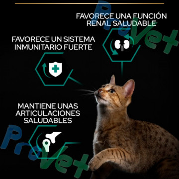 PROPLAN Gato ADULT OPTIRENAL Pollo 1,5kg