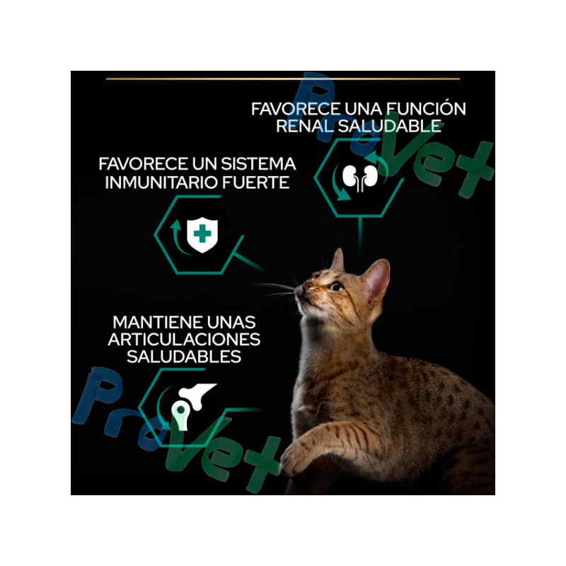 PRO PLAN Gato ADULTO OPTIRENAL Frango 1,5kg